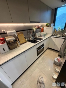 NOVO LAND 1A期 Elverum 1座 - 28NTS – 香港北部都會區