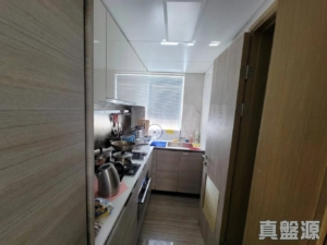 朗屏8號 3座 - 28NTS – 香港北部都會區