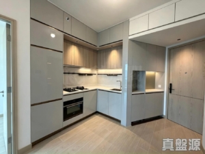 黃金海灣 2期 珀岸 1座 (1A) - 28NTS – 香港北部都會區