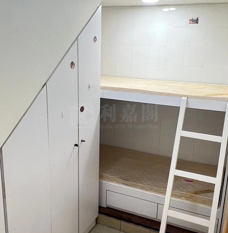 星堤 - 28NTS – 香港北部都會區