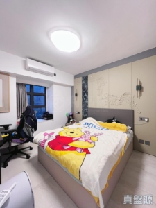 金麗苑 B座 - 28NTS – 香港北部都會區