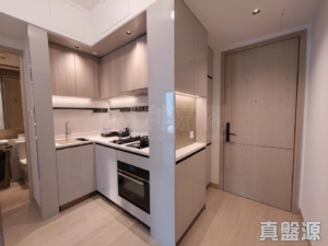 黃金海灣 2期 珀岸 1座 (1B) - 28NTS – 香港北部都會區