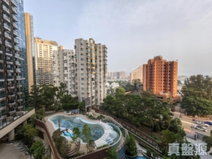 黃金海灣 2期 珀岸 1座 (1B) - 28NTS – 香港北部都會區