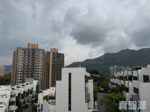 THE CARMEL 1座 - 28NTS – 香港北部都會區