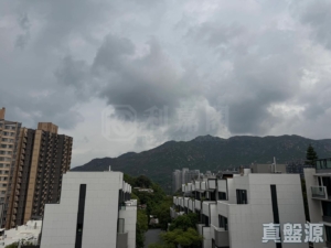 THE CARMEL 1座 - 28NTS – 香港北部都會區