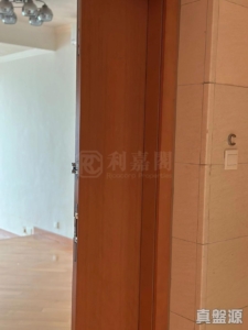 藍天海岸 1期 2座 - 28NTS – 香港北部都會區