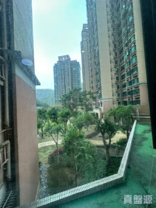 曉峰園 1座 - 28NTS – 香港北部都會區