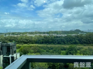 WETLAND SEASONS BAY 1期 2A座 - 28NTS – 香港北部都會區