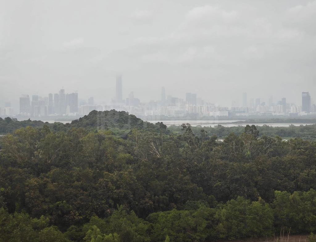 WETLAND SEASONS BAY 1期 2A座 - 28NTS – 香港北部都會區