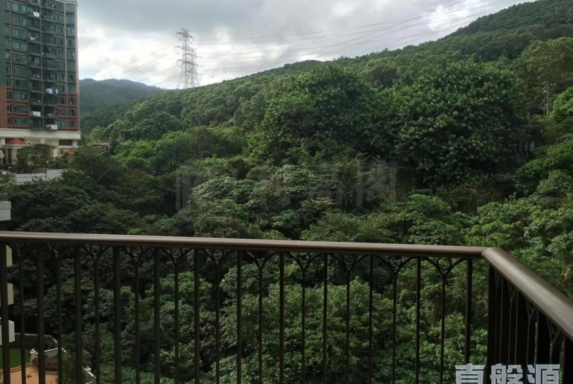 朗逸峰 2期 11座 - 28NTS – 香港北部都會區