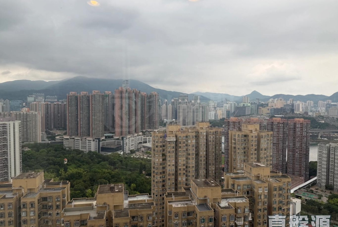 綠悠雅苑 2座 - 28NTS – 香港北部都會區