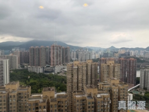 綠悠雅苑 2座 - 28NTS – 香港北部都會區