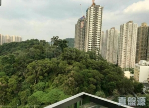 菁雋 - 28NTS – 香港北部都會區