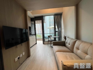 薈藍 - 28NTS – 香港北部都會區