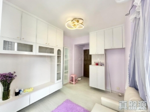 好順意大廈 B座 - 28NTS – 香港北部都會區