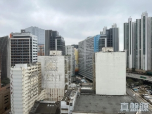 映日灣 2座 - 28NTS – 香港北部都會區