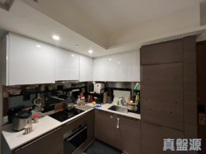 映日灣 2座 - 28NTS – 香港北部都會區