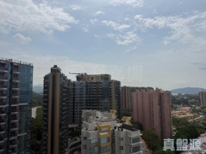 黃金海灣 2期 珀岸 1座 (1A) - 28NTS – 香港北部都會區