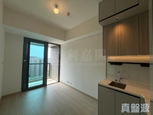 黃金海灣 2期 珀岸 1座 (1A) - 28NTS – 香港北部都會區