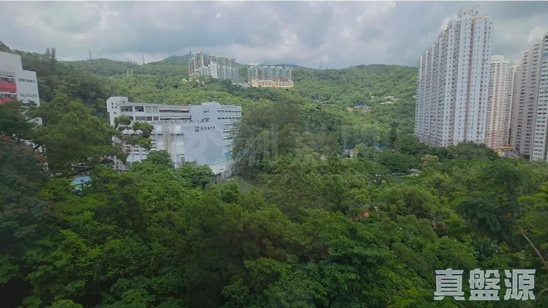 荃威花園 D座 - 28NTS – 香港北部都會區