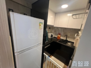 疊茵庭 2座 - 28NTS – 香港北部都會區