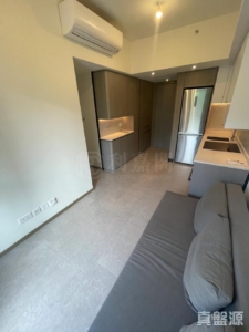 NOVO LAND 2B期 Arreso 1B座 - 28NTS – 香港北部都會區