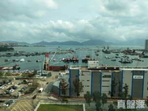嘉悅半島 2座 - 28NTS – 香港北部都會區