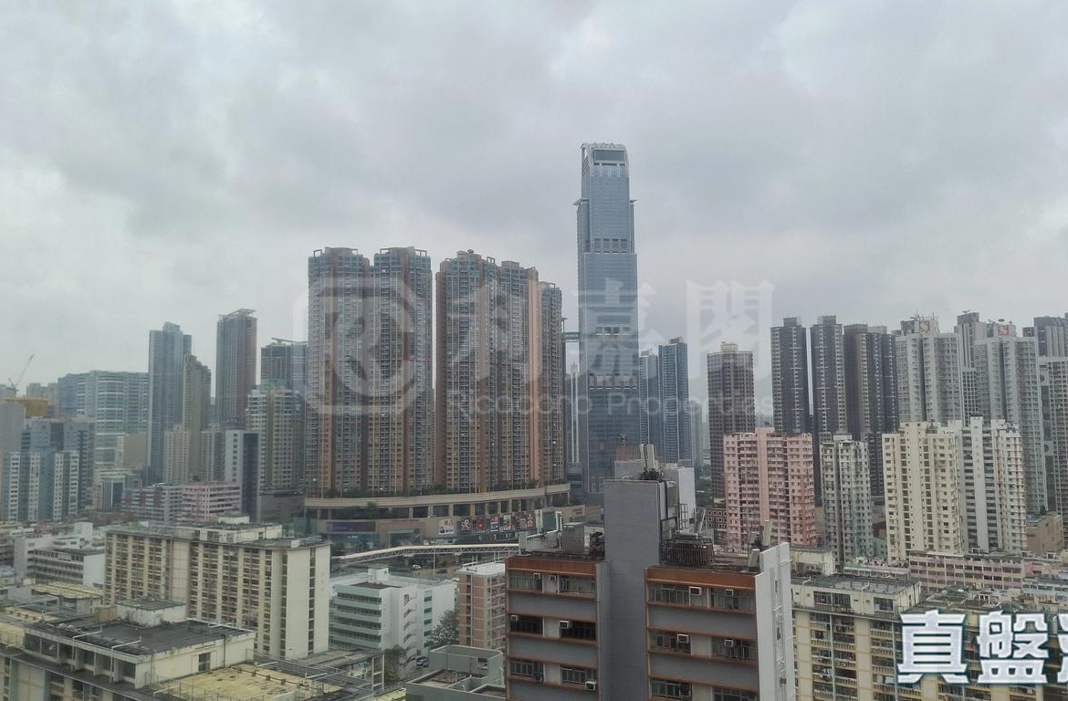 愉景新城 3期 12座 - 28NTS – 香港北部都會區