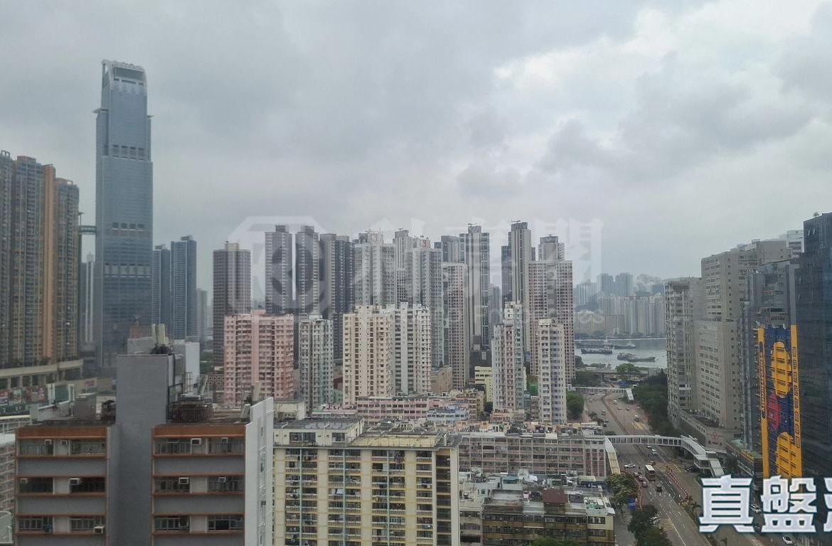 愉景新城 3期 12座 - 28NTS – 香港北部都會區