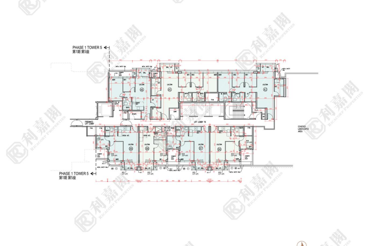 柏瓏 1A期 柏瓏 I 6座 - 28NTS – 香港北部都會區