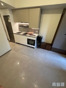 NOVO LAND 1B期 Bergen 1座 - 28NTS – 香港北部都會區