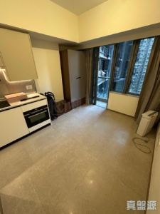 NOVO LAND 1B期 Bergen 1座 - 28NTS – 香港北部都會區