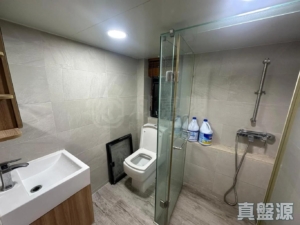龍珠島別墅 F6座 - 28NTS – 香港北部都會區