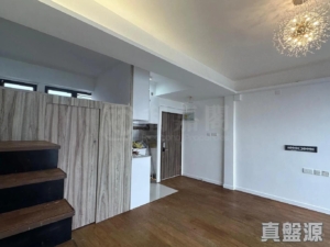龍珠島別墅 F6座 - 28NTS – 香港北部都會區