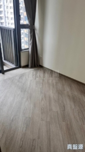 NOVO LAND 3B期 Fiskars 2B座 - 28NTS – 香港北部都會區