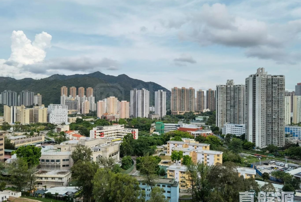 NOVO LAND 1B期 Bergen 2座 - 28NTS – 香港北部都會區