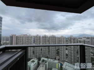 YOHO WEST 1期 2B座 - 28NTS – 香港北部都會區