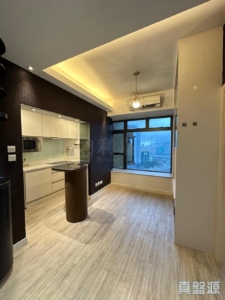 立坊 - 28NTS – 香港北部都會區