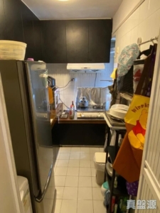 新元朗中心 4座 - 28NTS – 香港北部都會區