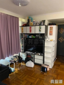 新元朗中心 4座 - 28NTS – 香港北部都會區