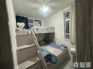 屏欣苑 B座 (屏彥閣) - 28NTS – 香港北部都會區