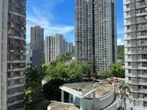 偉景花園 2座 - 28NTS – 香港北部都會區