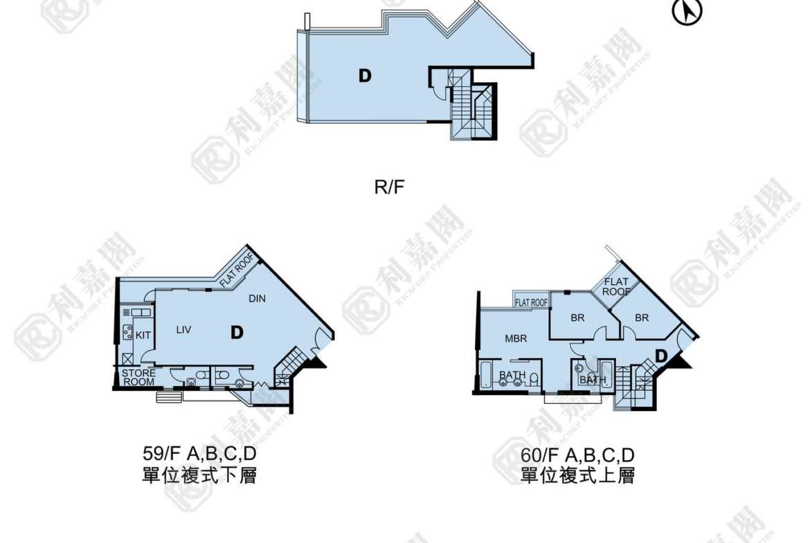 藍天海岸 1期 3座 - 28NTS – 香港北部都會區