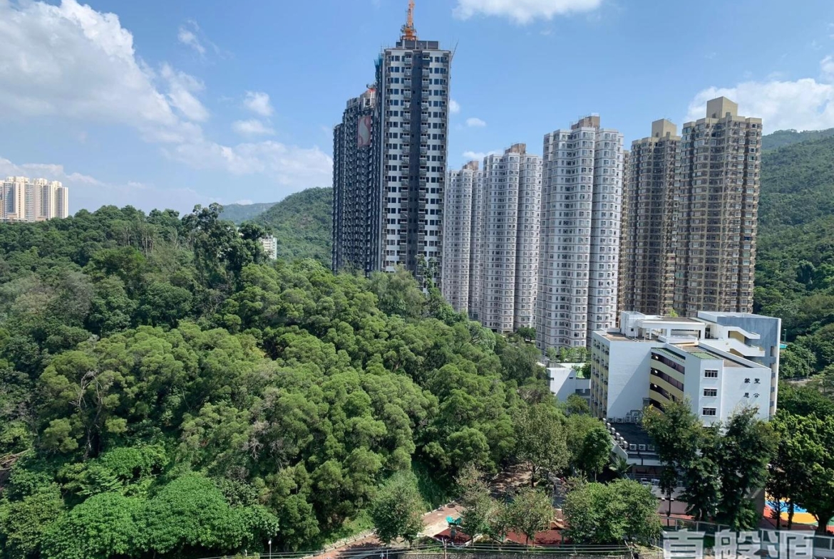 菁雋 - 28NTS – 香港北部都會區