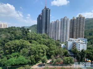 菁雋 - 28NTS – 香港北部都會區