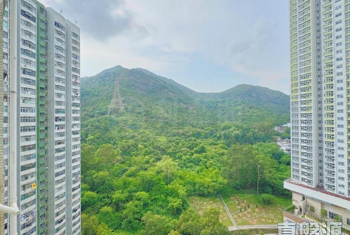 兆隆苑 - 28NTS – 香港北部都會區