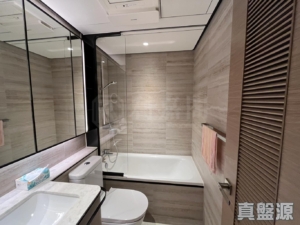 滙都 2期 滙都 II 5座 - 28NTS – 香港北部都會區