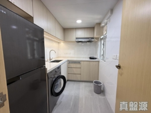 盈豐園 1座 - 28NTS – 香港北部都會區