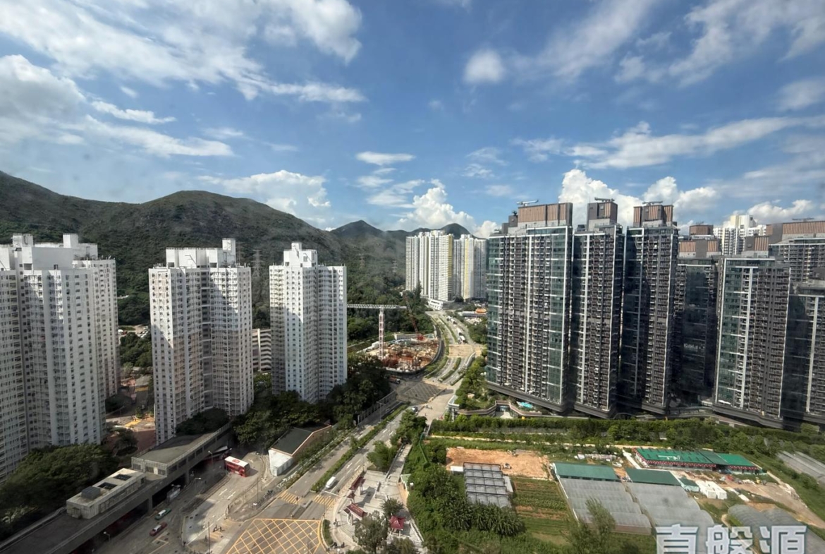 盈豐園 1座 - 28NTS – 香港北部都會區