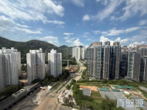 盈豐園 1座 - 28NTS – 香港北部都會區
